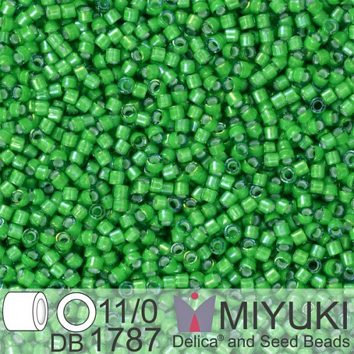 Korálky Miyuki Delica 11/0. Barva White Lined Green AB DB1787. Balení 5g.