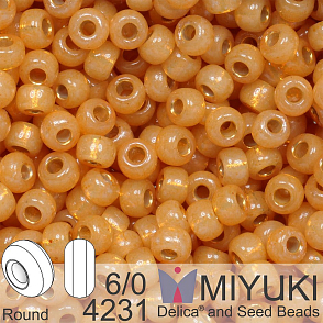 Korálky Miyuki MIX Round 6/0. Barva 4231 Duracoat Silverlined Dyed Golden Flax. Balení 5g