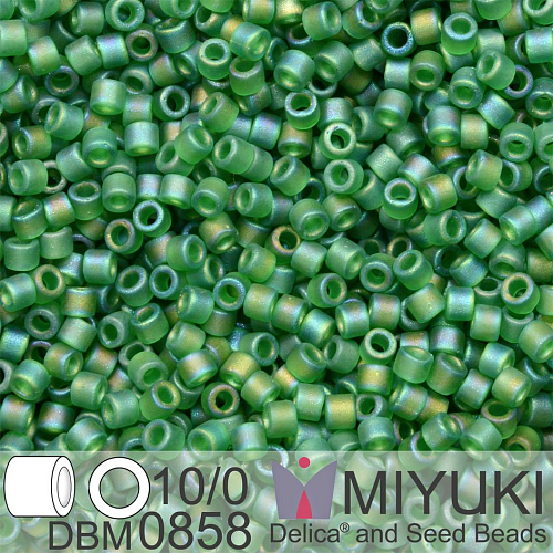 Korálky Miyuki Delica 10/0. Barva Matte Transparent Green AB  DBM0858. Balení 5g.