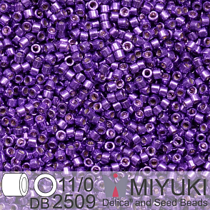 Korálky Miyuki Delica 11/0. Barva Duracoat Galvanized Dark Lilac DB2509. Balení 5g.