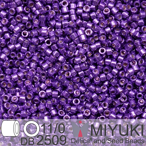 Korálky Miyuki Delica 11/0. Barva Duracoat Galvanized Dark Lilac DB2509. Balení 5g.