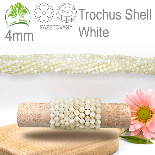 Korálky z minerálů Trochus Shell White Fazetovaný přírodní produkt. Velikost pr.4mm. Balení 95Ks.