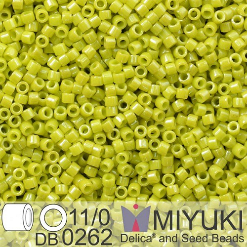 Korálky Miyuki Delica 11/0. Barva Op Chartreuse Luster  DB0262. Balení 5g