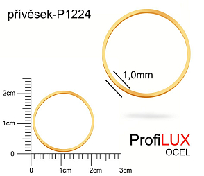 Přívěsek Ocel ozn-P1224 KRUH velikost pr.20mm. Síla 1,0mm. Barva POZLACENO. Řada přívěsků ProfiLUX