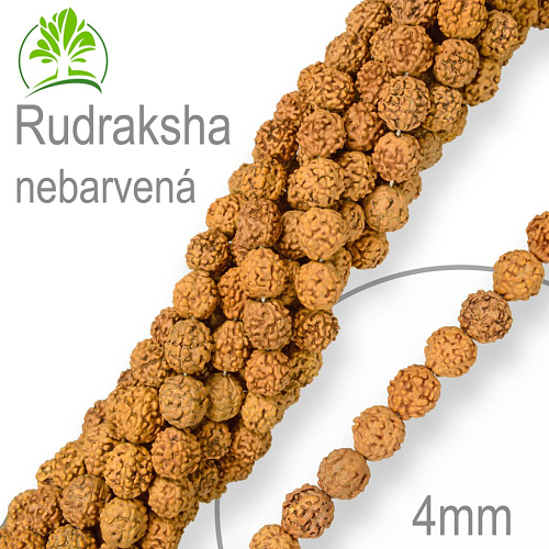 Korálky exotická semínka Rudraksha nebarvená velikost 4mm. Balení 9Ks