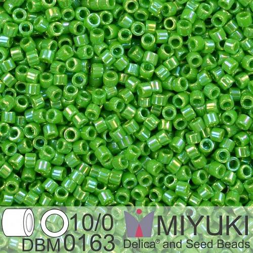 Korálky Miyuki Delica 10/0. Barva Op Green AB DBM0163. Balení 5g.