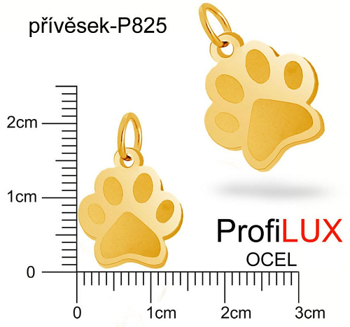 Přívěsek Chirurgická Ocel ozn-P825 TLAPKA velikost  17x12mm. barva POZLACENO. Řada přívěsků ProfiLUX