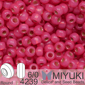 Korálky Miyuki MIX Round 6/0. Barva 4239 Duracoat Dyed Hibiscus S/L Alabaster . Balení 5g