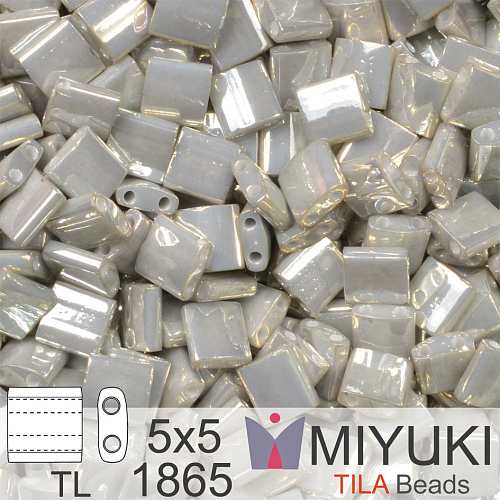 Korálky MIYUKI tvar TILA BEADS velikost 5x5mm. Barva TL 1865 Opaque Smoke Gray Luster. Balení 3g.