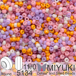 Korálky Miyuki Round 11/0. Barva Funky Dream Mix 5134. Balení 5g.