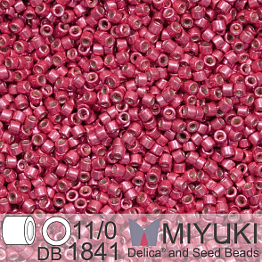 Korálky Miyuki Delica 11/0. Barva Duracoat Galvanized Light Cranberry DB1841. Balení 5g.