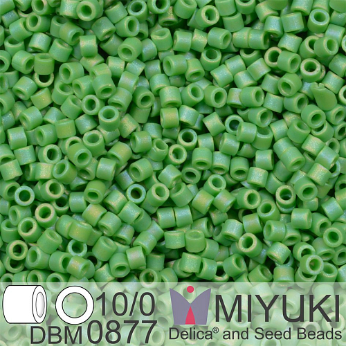Korálky Miyuki Delica 10/0. Barva Matte Opaque Green AB DBM0877. Balení 5g.