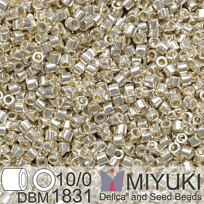 Korálky Miyuki Delica 10/0. Barva Duracoat Galvanized Silver DBM1831. Balení 5g.