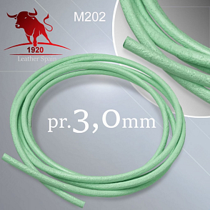 KOŽENÁ  šňůra kulatá 3,0mm Šňůra z kvalitní plné kůže. Barva M202 sv. Zelená
