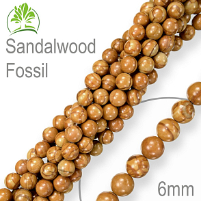 Korálky z minerálů Sandalwood Fossil přírodní polodrahokam. Velikost pr.6mm. Balení 12Ks.