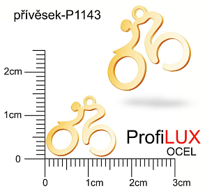 Přívěsek Chirurgická Ocel ozn-P1143 CYKLISTA velikost 16x14mm. Barva POZLACENO. Řada přívěsků ProfiLUX