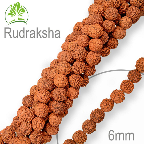 Korálky exotická semínka Rudrakshi velikost 6mm. Balení 8Ks