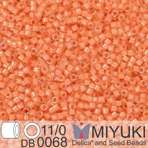 Korálky Miyuki Delica 11/0. Barva Peach Lined Crystal Luster  DB0068. Balení 5g.